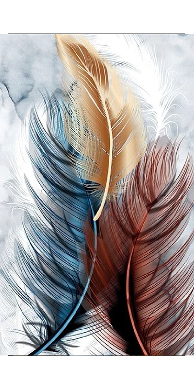 รูปภาพประดับผนังภายในลิฟต์ (HANG PICTURES)